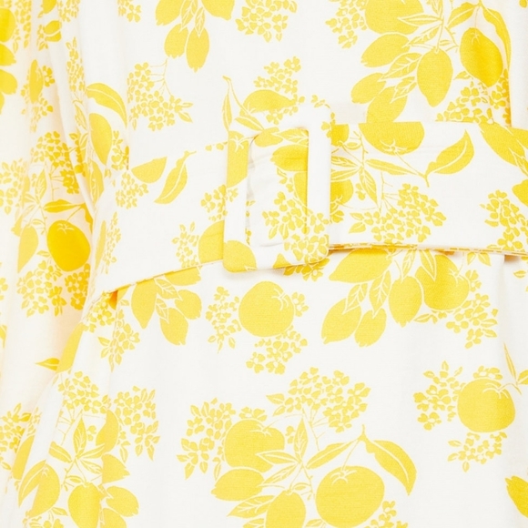 Citrus Blossom Belted Flounce Shift Dress - Picture 4 of 4